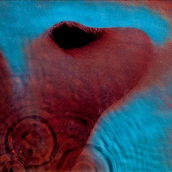 Meddle PINK FLOYD