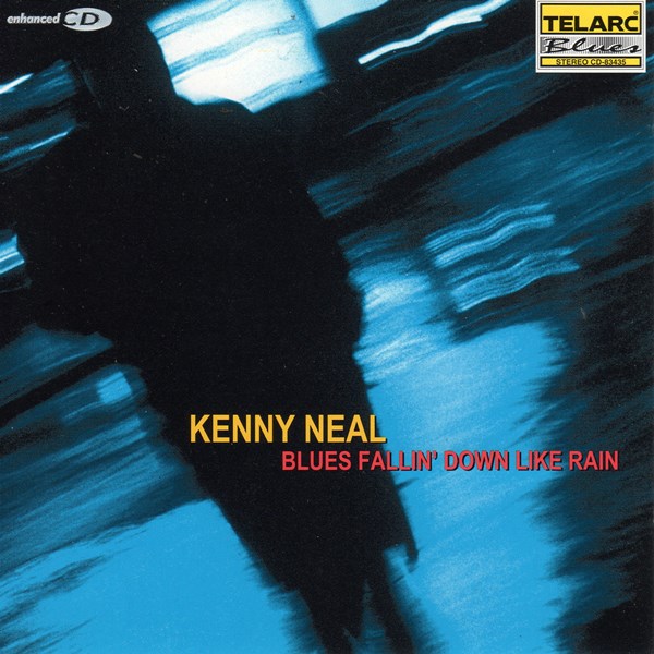 Blues Fallin' Down Like Rain KENNY NEAL