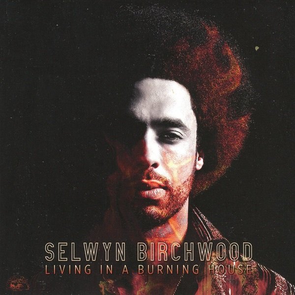 Living In A Burning House SELWYN BIRCHWOOD